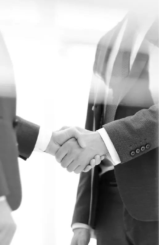 Professional Executive